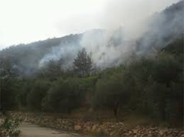 حرائق واسعة في لبنان بسبب ارتفاع درجات الحرارة