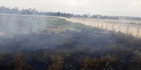 إخماد حريق إلتهم 8 دونمات من أشجار الزيتون في ريف اللاذقية