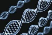 علماء يكتشفون الجين المسؤول عن  الحاسة السادسة   