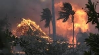 عشرات القتلى والجرحى جراء حرائق الغابات في هاواي الأمريكية 