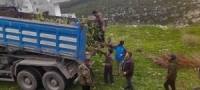 توزيع 16 ألف غرسة مثمرة في قرى الاستصلاح المجاني في ريف اللاذقية