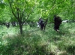 Army Eliminates Terrorists, Seizes Weapons including Israeli-Made Rocket 