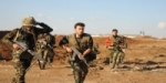 Army eliminates dozens of terrorists in many provinces  