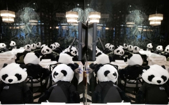 الباندا يحتل مطعماً بغياب زبائنه في برلين