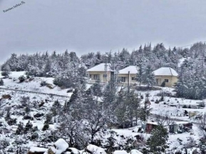 الثلوج تغطي معظم المحافظات السورية