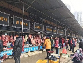 سوق ووهان للحيوانات البرية بؤرة انتشار فيروس كورونا فى الصين