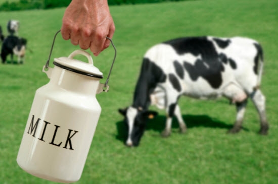 الحليب يهدد البشرية ..!