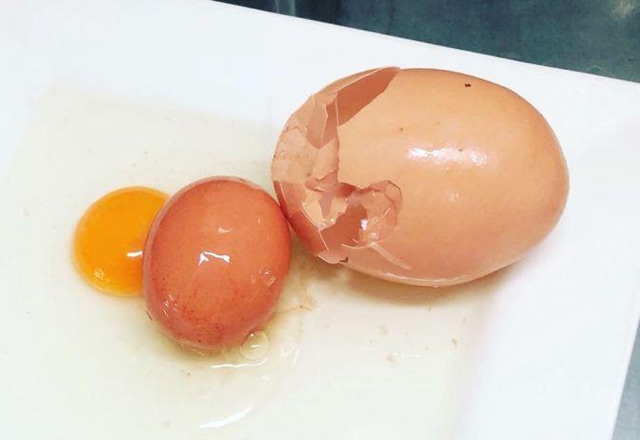  العثور على أكبر بيضة دجاج في العالم وبداخلها بيضة أخرى كاملة