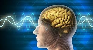  العلماء يكشفون أسباب جديدة لحدوث السكتة الدماغية