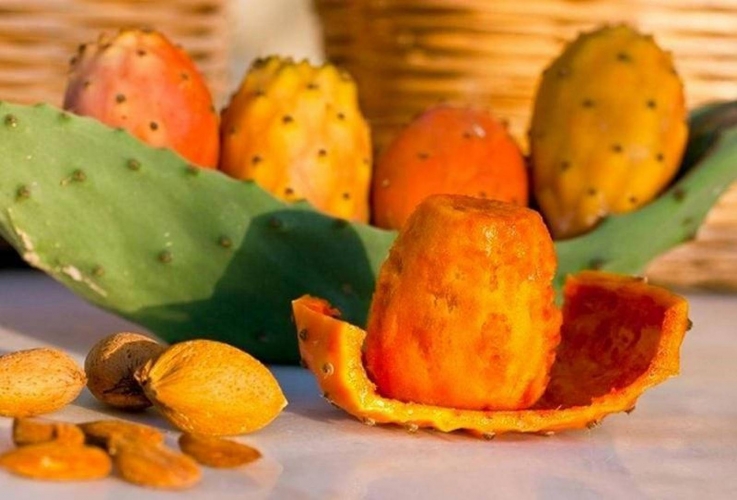  الصبّار: عناصر غذائيّة وفوائد صحيّة