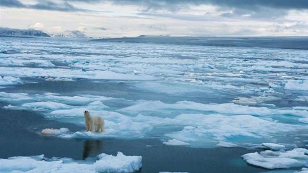  تسجيل رقم قياسي في درجة الحرارة بالقطب الشمالي