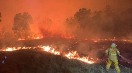  استراليا: حرائق الغابات تصل الى ضواحي سيدني