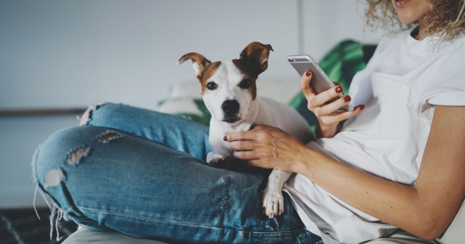  إدمان الهواتف يحول الكلاب إلى وحوش عدوانية 