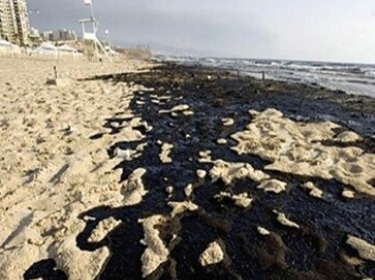 قمامة الشواطئ تهدد التوازن البيئي في الأطلنطي