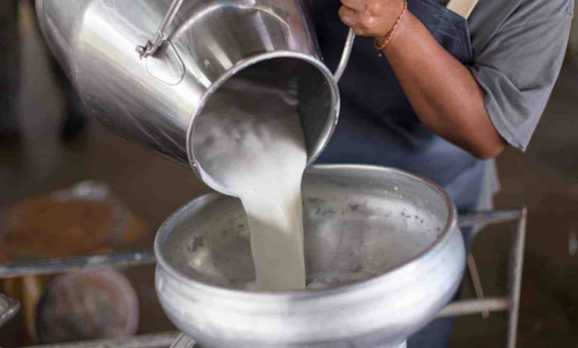 انخفاض واردات الحليب الخام من شركة ألبان حمص بنسبة 60% وتهريبه إلى لبنان