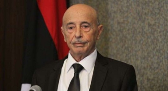 البرلمان الليبي: قد نضطر لدعوة القوات المسلحة المصرية للتدخل إذا حدث غزو أجنبي   