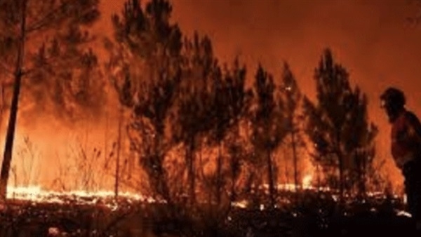 استراليا: حرائق الغابات تهدد العاصمة كانبيرا والسلطات تعلن حالة الطوارئ