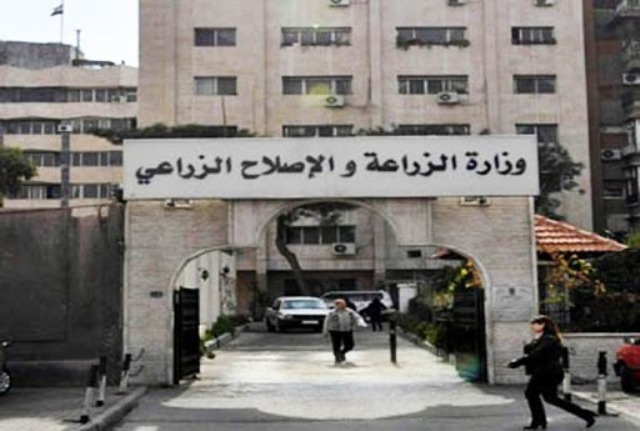 تحسباً لظهوره.. الزراعة تجهز غرفة عمليات خاصة بمكافحة الجراد