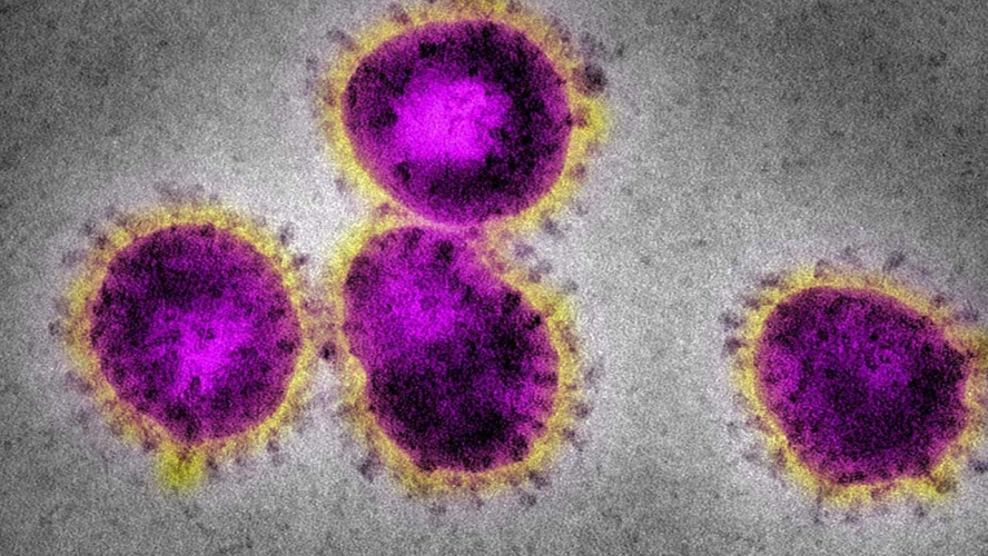 فيروس جديد يظهر في الصين وتسجيل أول حالة وفاة