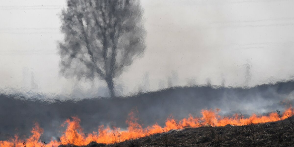 حريق بمساحات واسعة من الأعشاب اليابسة على الحدود الأردنية ـ السورية