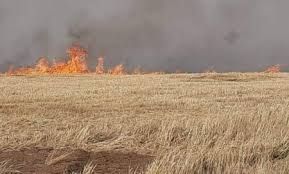 إحراق حقول القمح وسرقة المحاصيل سياسة ممنهجة للاحتلالين الأمريكي والتركي