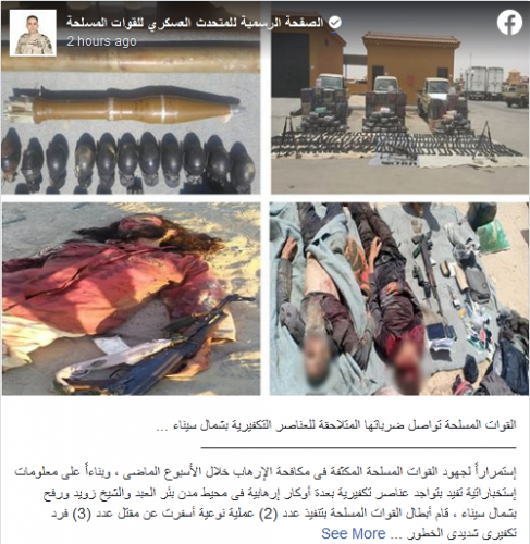 مقتل 19 إرهابياً بعملية نوعية للجيش المصري  