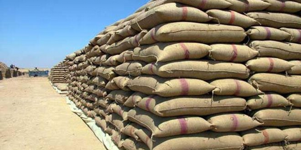 مدير السورية للحبوب: استلام القمح في ٤٩ مركزاً من الساعة 7 صباحاً حتى 7 مساءاً اعتباراً من اليوم