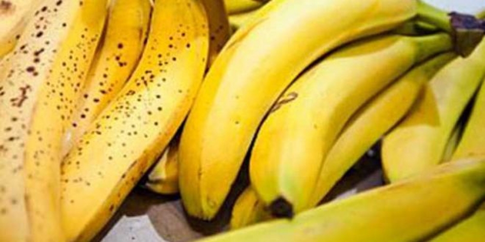 “قد تكون مميتة”… أطعمة يمنع تناولها مع الموز   