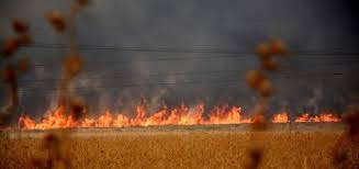 الحرائق المفتعلة في محاصيل الحسكة تحرم قرى كثيرة من الكهرباء