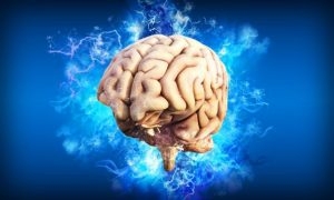 علماء يحذّرون من موجة محتملة من الإصابات بتلف دماغي مرتبط بكورونا