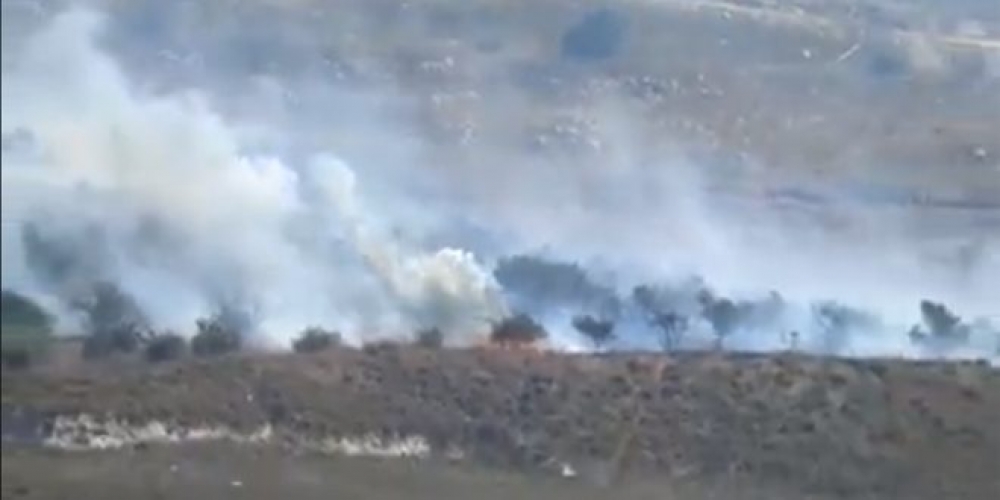 مستوطنون إسرائيليون يحرقون مئات أشجار الزيتون جنوب نابلس