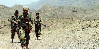 الجيش اليمني يعلن عن تحرير ألف كم مربع في البيضاء كانت خاضعة لـ” القاعدة وداعش “