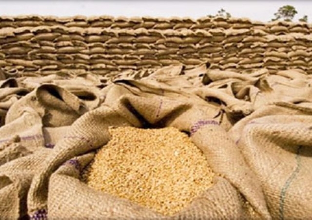 بمناقصة دولية.. الجزائر يشتري 560 ألف طن من القمح