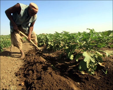 من حيث المبدأ.. مصر تتفق مع السودان لاستغلال أراضيها الزراعية