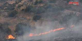 حريق جديد يطال الثروة الحراجية والأشجار المثمرة في عين حلاقيم بريف حماة   