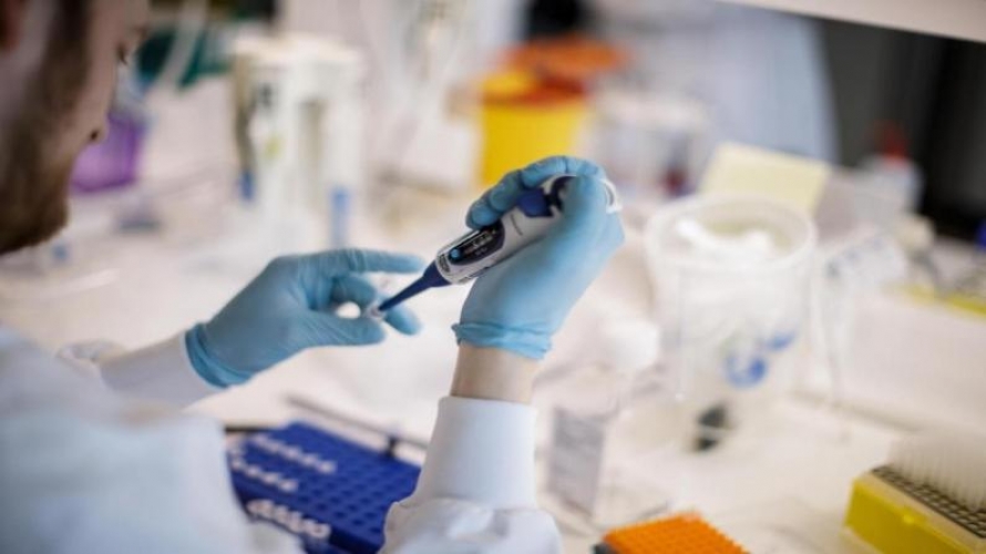 خبراء روس يستخلصون علاج لفيروس كورونا من رئة الثور و النتائج الاولية واعدة   