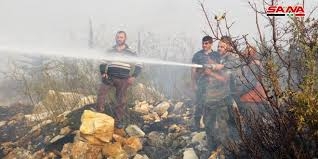93 حريق في اللاذقية حتى الآن واندلاع حريق جديد في قرية قرن حلية بريف جبلة   