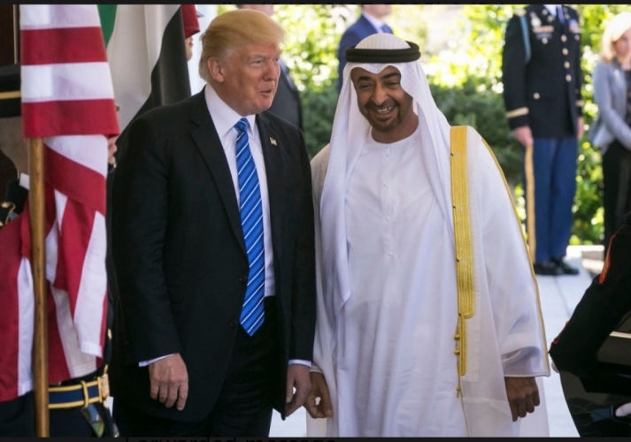 ترامب لبن زايد: ادفع دولًا أخرى إلى التطبيع.