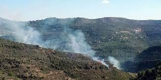 فرق الإطفاء بالتعاون مع الأهالي يخمدون حريقاً في ريف الدريكيش   