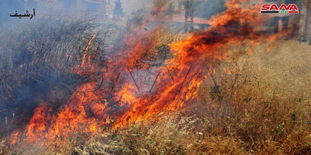 فرق الإطفاء ومروحيات الجيش تشارك في إخماد حريق بأعالي أحراج جبل الشعرة بريف اللاذقية