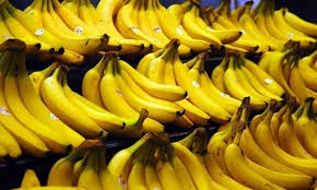 الموز اللبناني في طريقه للأسواق وتوقعات بانخفاض أسعاره