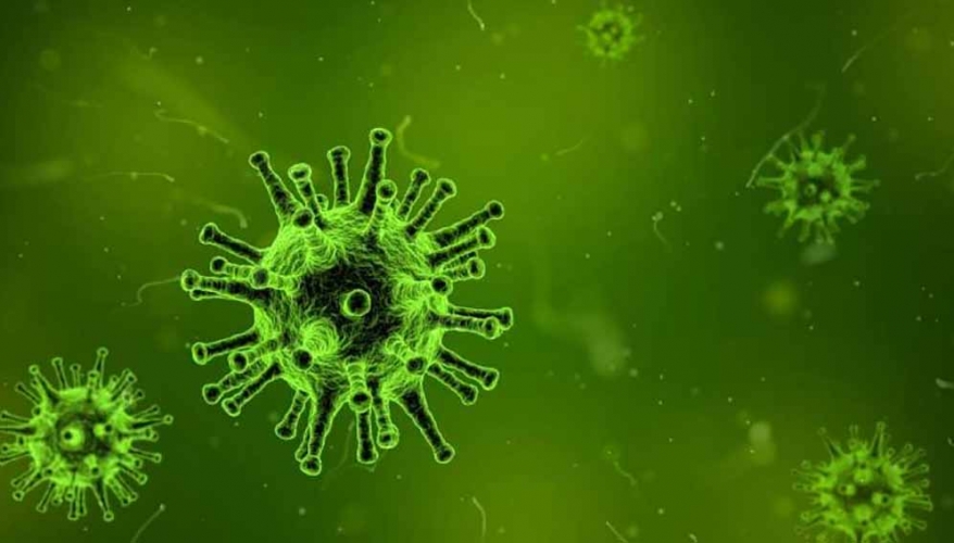 دراسة: المتعافون من كورونا يتمتعون بمناعة قوية من الفيروس.