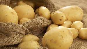 الاقتصاد تقرر وقف تصدير البطاطا حتى نهاية آذار القادم   