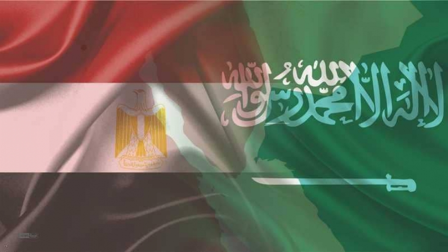 بيان سعودي مصري يتعلق بالقضية الفلسطينية