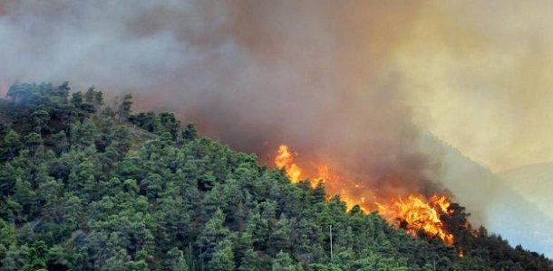 الزراعة: 2480 حريقاً حراجياً وزراعياً في 4 محافظات خلال 2020