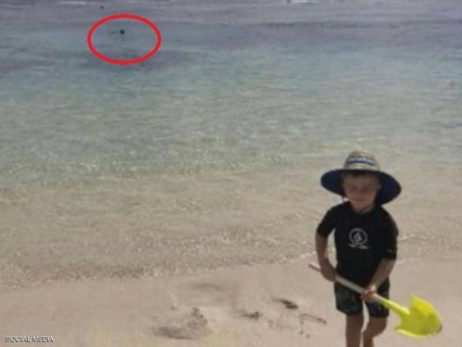 طفل يلهو على الشاطئ ووالده بين فكي قرش..!