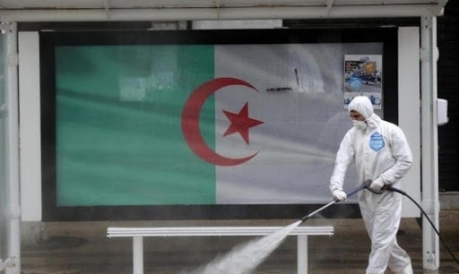 الجزائر.. تسجيل 6 إصابات جديدة بسلالة فيروس كورونا البريطانية