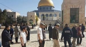 بحماية جيش العدو .. عشرات المستوطنين الإسرائيليين يجددون اقتحام المسجد الأقصى   