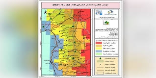 منصة الغابات ومراقبة الحرائق: معظم غابات شمال غرب سورية تحت مستويي الخطورة المتوسط والعالي