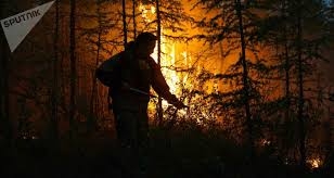 روسيا تحارب حرائق غابات لا تهدأ   